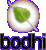 Bodhi Linux